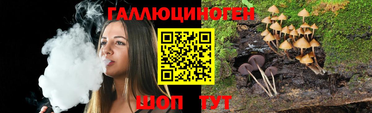 Магнитогорск  Галлюциногенные грибы Psilocybe  Вход с VPN 